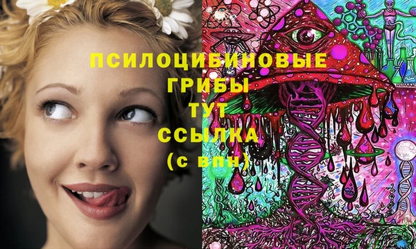 mdpv Балахна