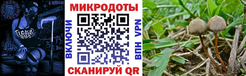 Галлюциногенные грибы мицелий  где купить наркотик  Суворов 
